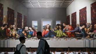 Armonía entre arte y ciencia: Da Vinci en el Museo de Historia Natural de China