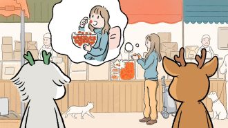 Los colores chilenos en la vida cotidiana de los chinos