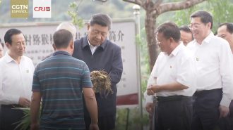 El recorrido de China para aliviar la pobreza