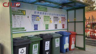 Generación Z: La importancia que le dan los jóvenes al medio ambiente