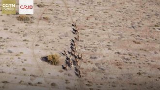 Diario de Xinjiang: En el Centro de Caballos Salvajes