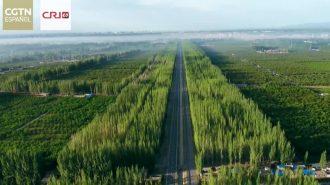 Padre e hijo construyen la Gran Muralla Verde