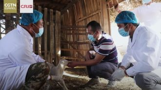 La erradicación de la pobreza: Nunca nos relajamos