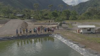 La pequeña granja de peces que une a China y América Latina