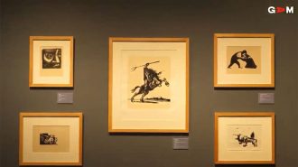 Inauguran exhibición de pintor chileno José Venturelli y pintor chino Feng Shaoxie