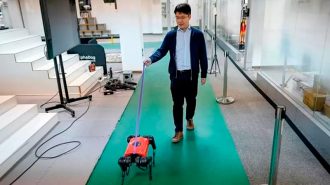 China crea perro-robot ideal para los amantes de la tecnología
