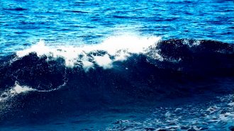 China, navegando en un océano sin límites para expandir la cooperación