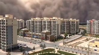 Enorme muro de arena paralizó ciudad al noroeste de China