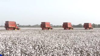 La economía de Xinjiang toma impulso