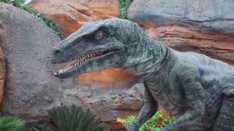 Un vistazo al Mundo Jurásico del nuevo Universal Beijing Resort