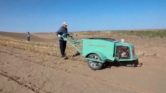 Agricultores chinos utilizan una nueva máquina para controlar el desierto