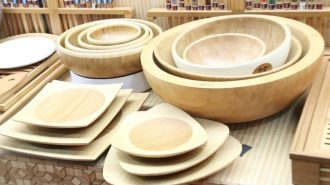 Bambú y ratán, grandes aliados para lograr el objetivo del desarrollo sustentable