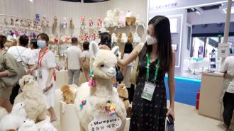 El fantástico viaje de los peluches de alpaca peruana a China