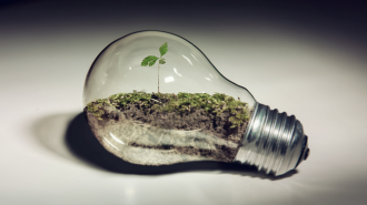 Una de las nuevas profesiones de China: Especialista en gestión medioambiental de grandes superficies