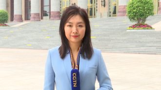 Los lineamientos de la diplomacia en China