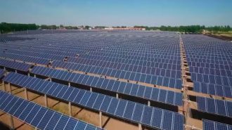 APEC: Principales puntos en la agenda de 2022