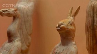 Una muestra en el Museo Nacional de China celebra la llegada del Año del Conejo