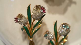 Beijing acoge la primera exhibición de joyas antiguas de China
