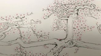 Pinturas de flores de ciruelo: Los nuevos estilos de un artista clásico