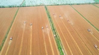 China acelera la modernización en las zonas agrícolas y rurales