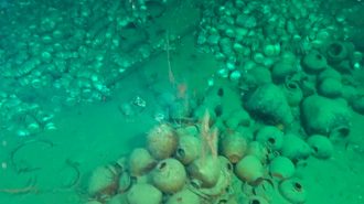 China descubrió dos grandes embarcaciones naufragadas a 1.000 metros de profundidad