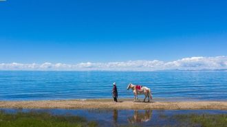 El lago Qinghai de China revierte su declive