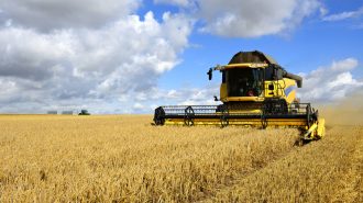 La fusión de la agricultura y el turismo impulsa la prosperidad de las zonas rurales