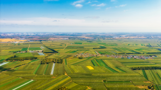 China desarrolla tierras de cultivo de alto nivel