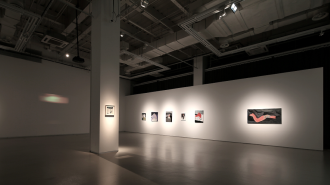 Chongqing acoge una exposición sobre arte chino y del sudeste asiático