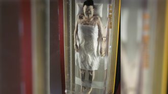 La momia de la señora Dai y las revelaciones sobre la dinastía Han