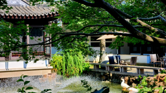 La filosofía ‘Zen’ impulsa el auge turístico en Wuxi