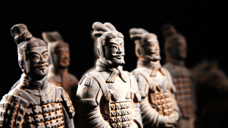 Los turistas extranjeros conocen a los Guerreros de Terracota y mucho más en Xi’an