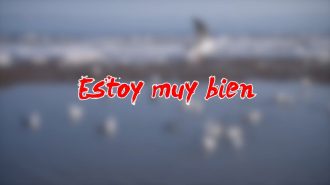 Estoy muy bien