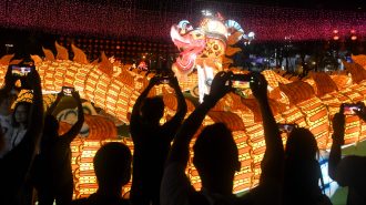 China se prepara para el Festival de Medio Otoño