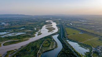 La Reserva Natural Nacional del Delta del Río Amarillo registra un aumento en aves poco comunes