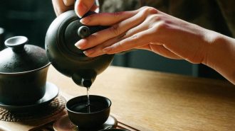 El tradicional arte del té: Pasado, presente y futuro