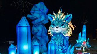 Efecto China: De Fesiluz y el Año Nuevo Chino