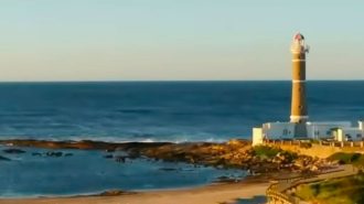 Poseía sin Fronteras: El coraje, una virtud inherente al ser humano