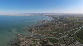 La Iniciativa de la Franja y la Ruta impulsa el desarrollo de la región autónoma uygur de Xinjiang