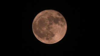 Innovadora impresora 3D usa suelo selenita para construir hábitats en la Luna