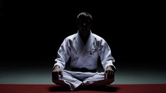 Efecto China: La introspección en las artes marciales