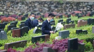El festival de Qingming: El concepto de la muerte en China