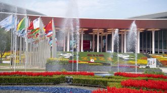 CIIE 2021: Empresas latinoamericanas valoran el dinamismo del mercado chino