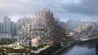 Centro comercial se arropa de 1.000 árboles para absorver 21 toneladas de dióxido de carbono al año