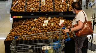 Embajador destacó el debut del kiwi chino en Chile