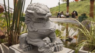 “Parque chino”, el nuevo atractivo turístico en distrito de Lima