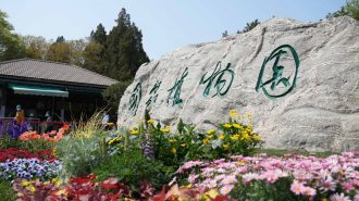 Primer jardín botánico nacional de China alberga más de 30.000 especies de plantas