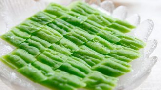 Platos de los 24 períodos solares: Melón amargo con hielo