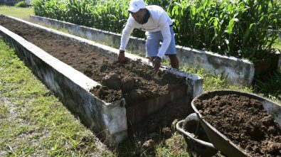 Efecto China: China y Chile, una relación clave en la crisis mundial de los fertilizantes