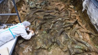 Las ruinas de Sanxingdui siguen deslumbrando con nuevos tesoros misteriosos